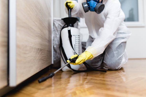 Best Termite Control Services  in Sumiton, AL