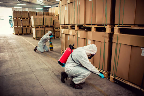 Pest Prevention Services in Sumiton, AL