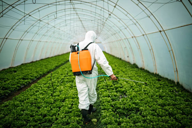 Best Pest Removal Services  in Sumiton, AL
