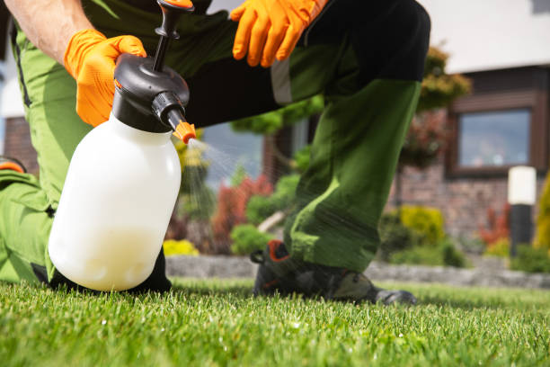 Best Best Pest Control Companies  in Sumiton, AL