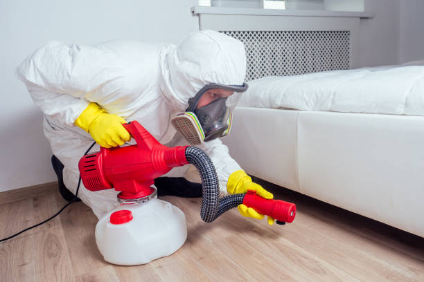Best Pest Control Near Me in Sumiton, AL