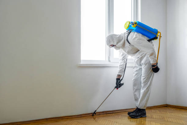 Best Wasp Removal Services  in Sumiton, AL