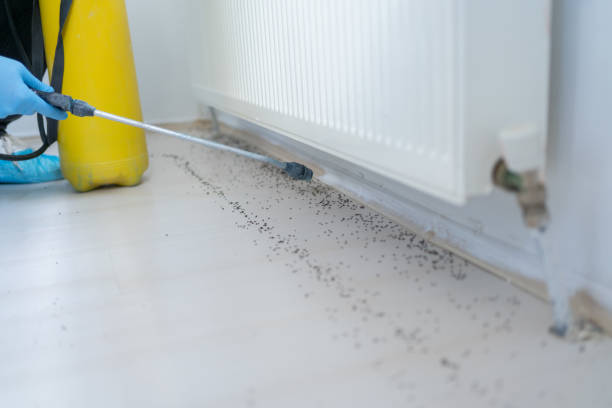 Best Pest Inspection Near Me  in Sumiton, AL